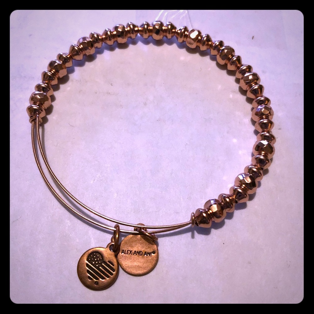 Alex and Ani Canyon bead
